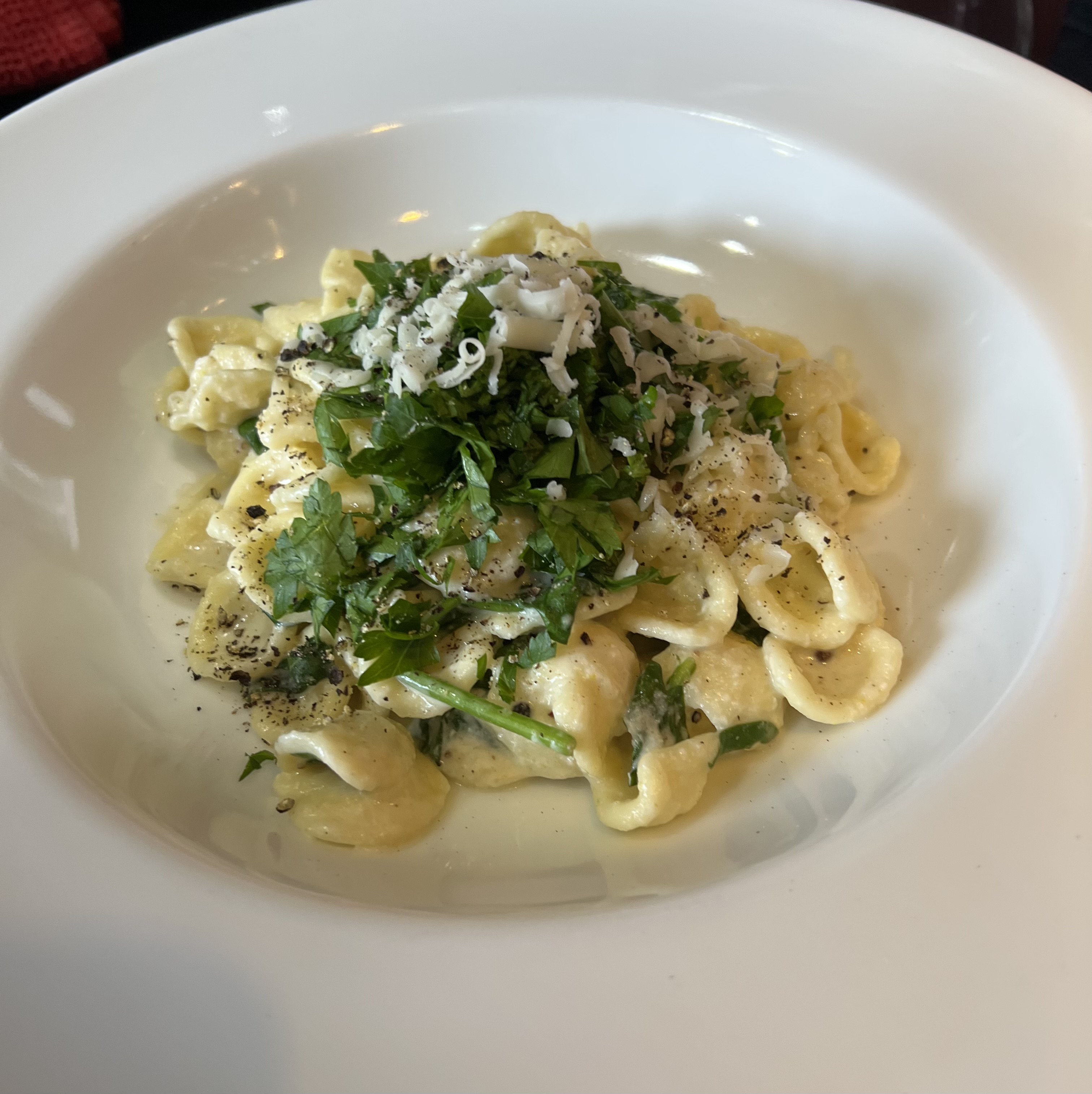 *Orecchiette, Provolone & Lemon Sauce
